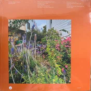 LP The Reds, Pinks And Purples: Unwishing Well CLR | LTD