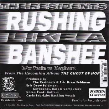 SP The Residents: Rushing Like A Banshee