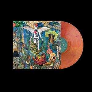 LP The Revivalists: Pour It Out Into The Night CLR | LTD