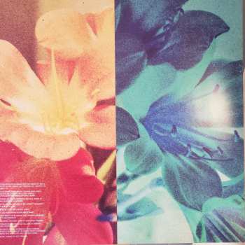 LP The Rocket Summer: Sweet Shivers