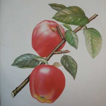 LP The Rolling Stones: Undercover