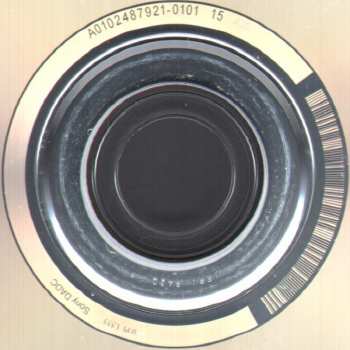 CD The School: Wasting Away And Wondering