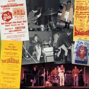 2LP The Seeds: Raw & Alive · Merlin's Music Box · The Seeds In Concert DLX