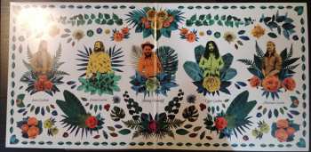 2LP The Sheepdogs: Changing Colours
