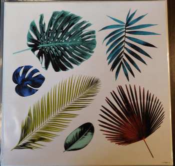 2LP The Sheepdogs: Changing Colours