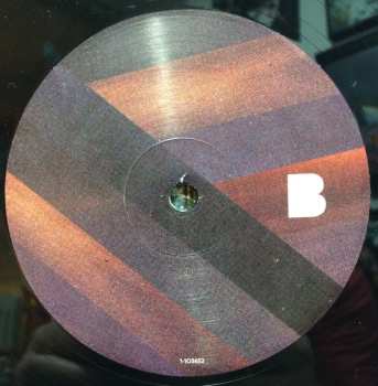 2LP The Sheepdogs: Future Nostalgia