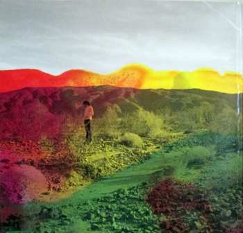LP/CD The Sheepdogs: The Sheepdogs