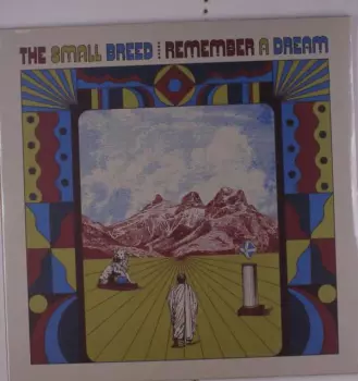 Remember A Dream