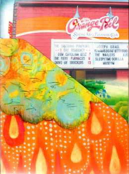 2DVD The Smashing Pumpkins: If All Goes Wrong