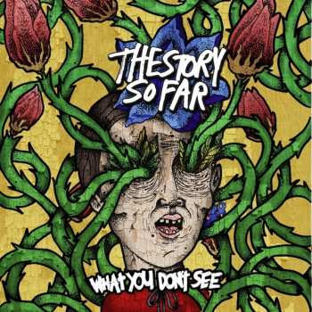 LP The Story So Far: What You Don't See
