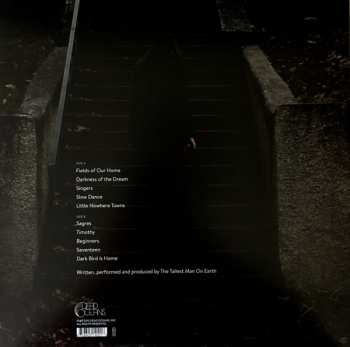 LP The Tallest Man on Earth: Dark Bird Is Home