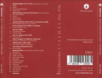 CD Roger Sayer: Treblesome 