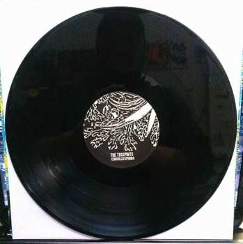 LP The Tosspints: Cenosillicaphobia
