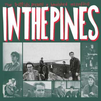 2LP The Triffids: In The Pines
