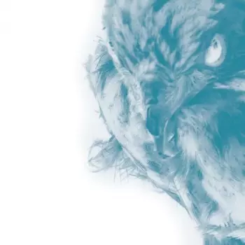 Ice 67