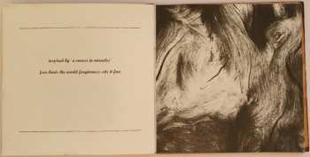 3CD/Box Set The Use Of Ashes: White Nights LTD