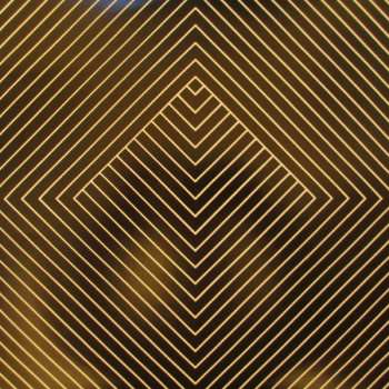2LP The Vacant Lots: Endless Night LTD