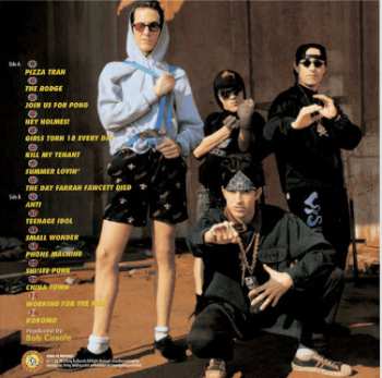 LP The Vandals: Fear Of A Punk Planet CLR | LTD