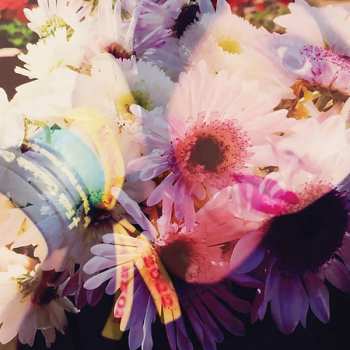 LP The Veldt: Illuminated 1989 CLR