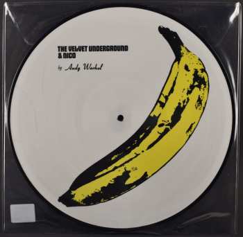 LP The Velvet Underground: The Velvet Underground & Nico PIC