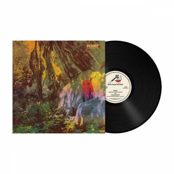 LP Wake: Thought Form Descent