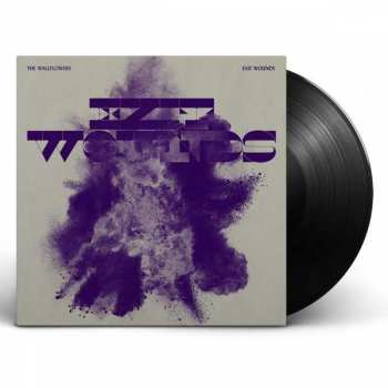 Album The Wallflowers: Exit Wounds 