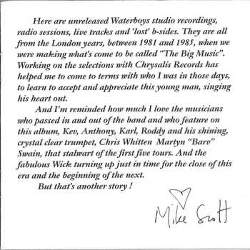 CD The Waterboys: The Secret Life Of The Waterboys 81-85