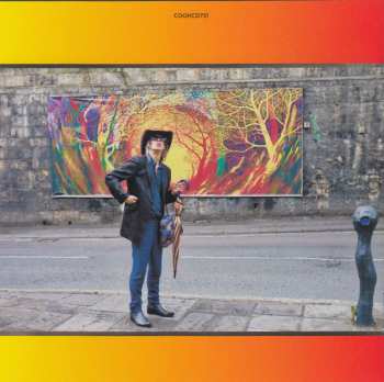 2CD The Waterboys: Where The Action Is DLX