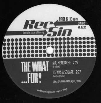 SP The What...For!: Ready Steady... The What...For!