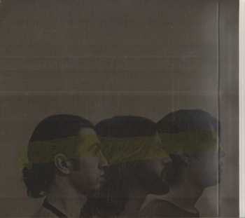 CD The Whigs: In The Dark