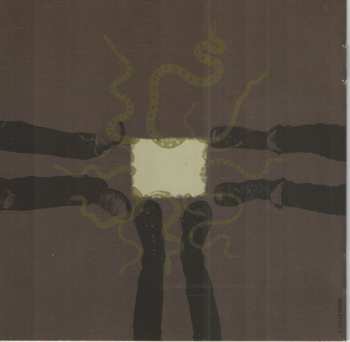 CD The Whigs: In The Dark