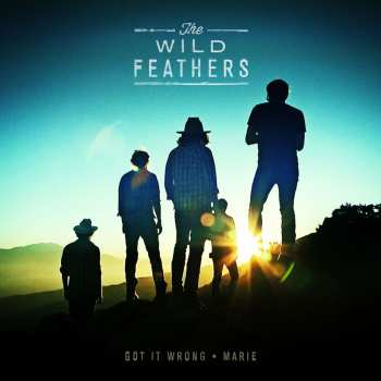 Album The Wild Feathers: Got It Wrong/Marie