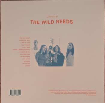 LP The Wild Reeds: Cheers