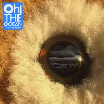 The Wombats: Oh! The Ocean