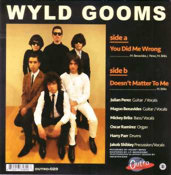 SP The Wyld Gooms: You Did Me Wrong / Doesn't Matter To Me