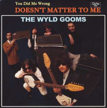 SP The Wyld Gooms: You Did Me Wrong / Doesn't Matter To Me