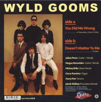 SP The Wyld Gooms: You Did Me Wrong / Doesn't Matter To Me