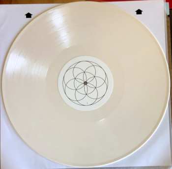 LP The Young Sinclairs: Out Of The Box LTD | CLR