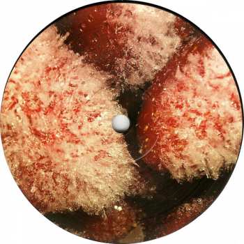 LP Thee Oh Sees: Floating Coffin