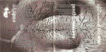 CD Theory In Practice: The Armageddon Theories