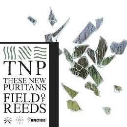 CD These New Puritans: Field Of Reeds