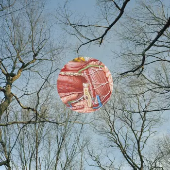 They Might Be Giants: Glean