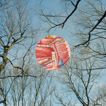 LP They Might Be Giants: Glean CLR