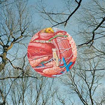 CD They Might Be Giants: Glean