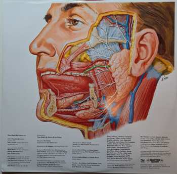 LP They Might Be Giants: Glean CLR