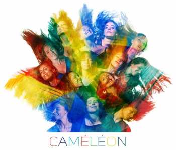 CD Thierry Maillard Ensemble: Caméléon DIGI