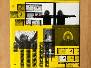 LP Tiger Lou: Is My Head Still On? CLR | LTD