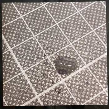 LP Wolfgang Tillmans: Moon In Earthlight