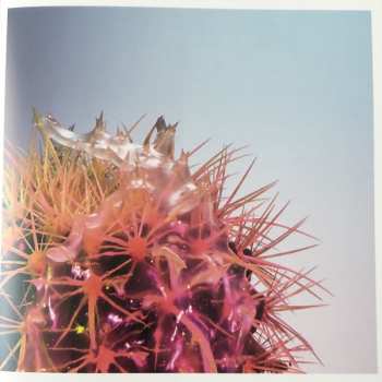 CD Tim Bendzko: Filter DIGI