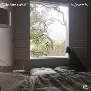 Tim Heidecker: In Glendale